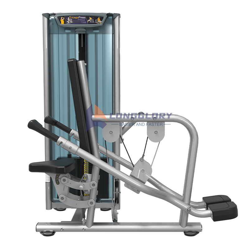 Seated Dip Machine